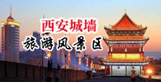 小骚逼水多用力操无码视频中国陕西-西安城墙旅游风景区